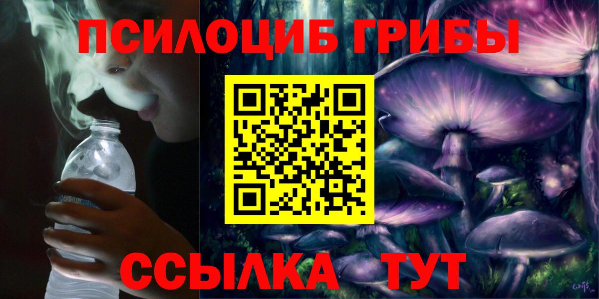 Новокубанск  Псилоцибиновые грибы GOLDEN TEACHER  продажа наркотиков  Вход с VPN 