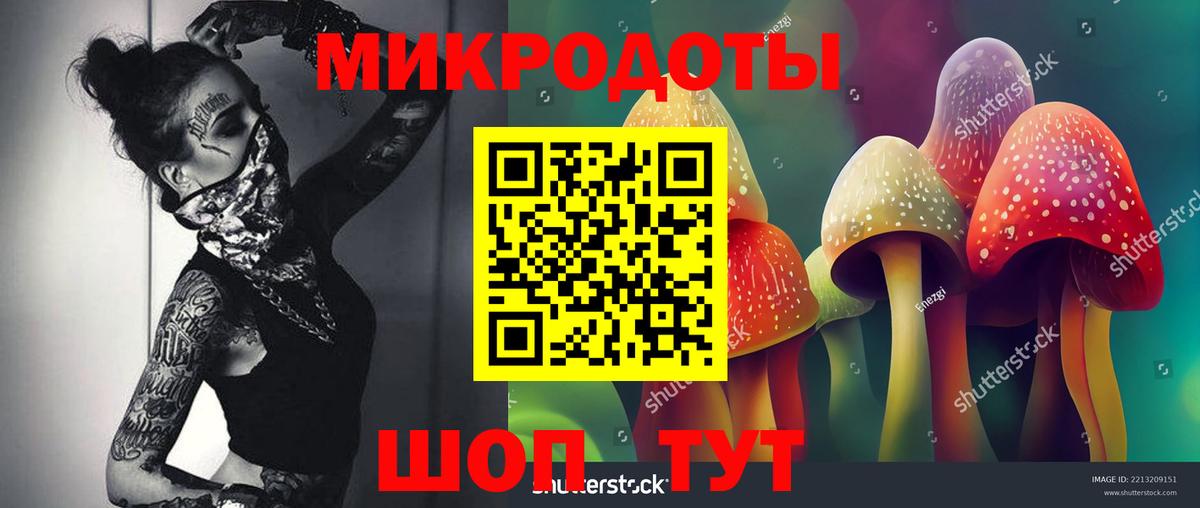 Галлюциногенные грибы мицелий Новокубанск